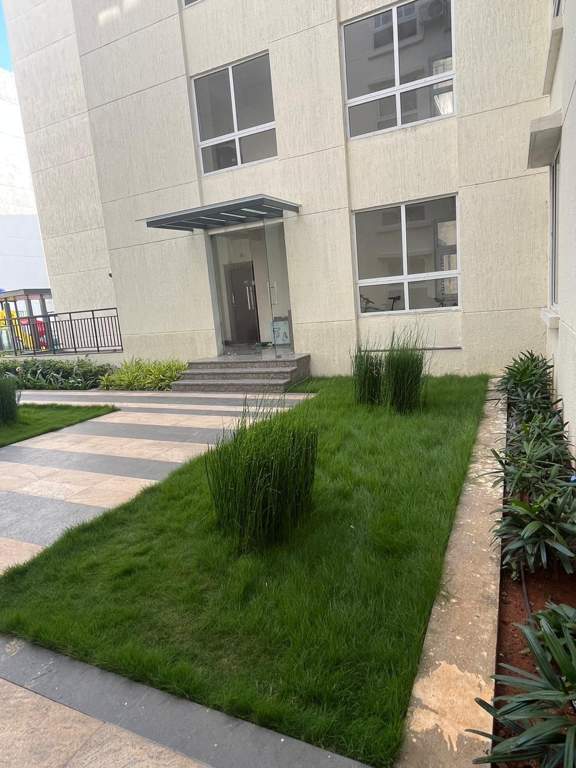  skanda lake front Landscape Garden and Tree Planting