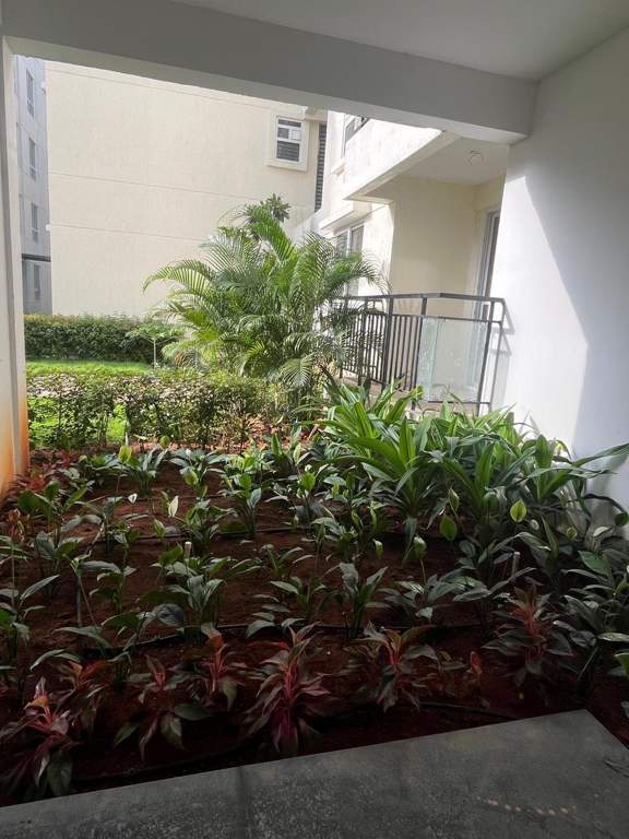  skanda lake front Landscape Garden and Tree Planting