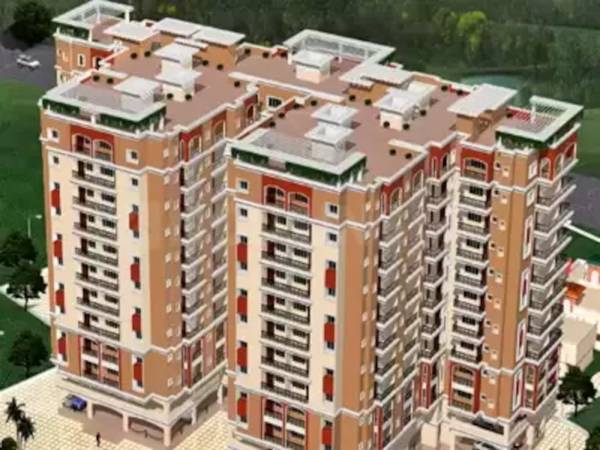 Elevation oak-forest Elevation