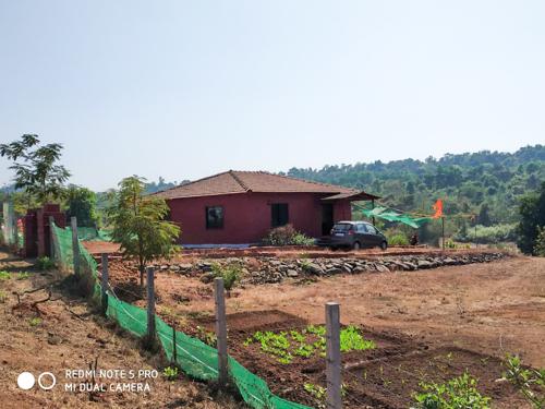 Images for Elevation of Greenland Flora Hills