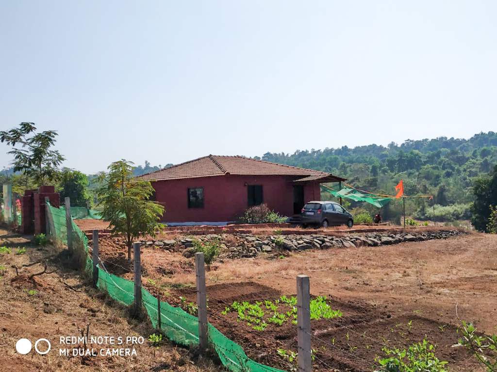 Images for Elevation of Greenland Flora Hills