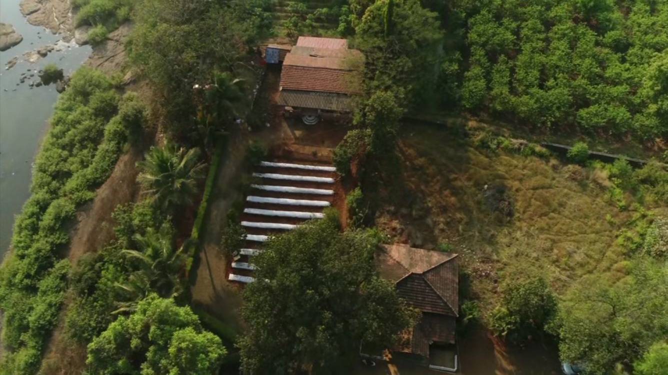 Images for Main Other of Greenland Flora Hills