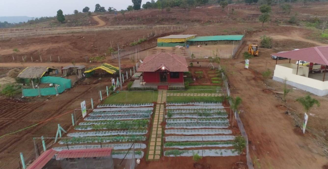 Images for Main Other of Greenland Flora Hills