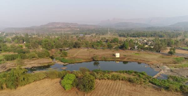 Images for Main Other of Greenland Flora Hills