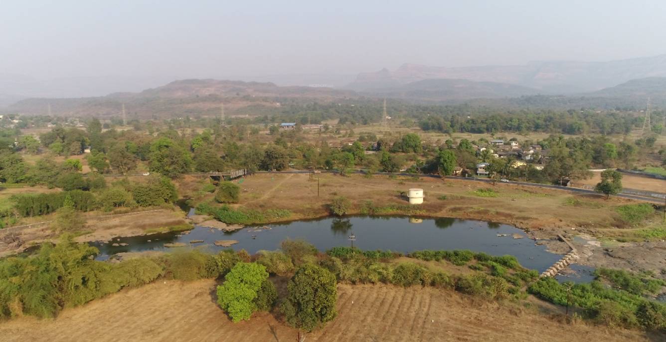 Images for Main Other of Greenland Flora Hills