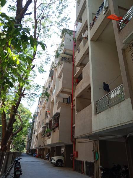 Elevation paradise Elevation