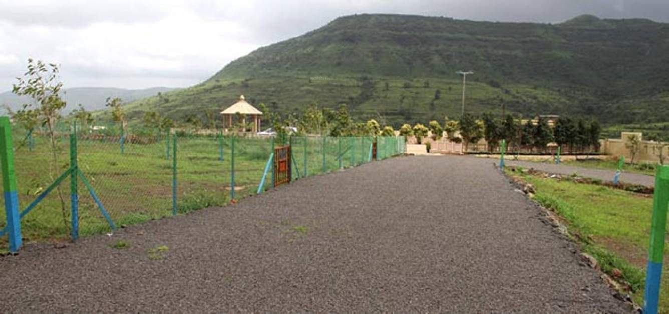 marina bay Landscape Garden and Tree Planting