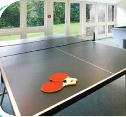 Table Tennis confident-iris Table Tennis
