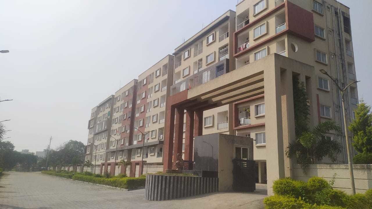  golden palm Elevation