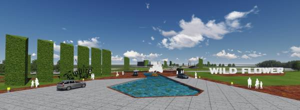 Elevation empire-wild-flower Elevation