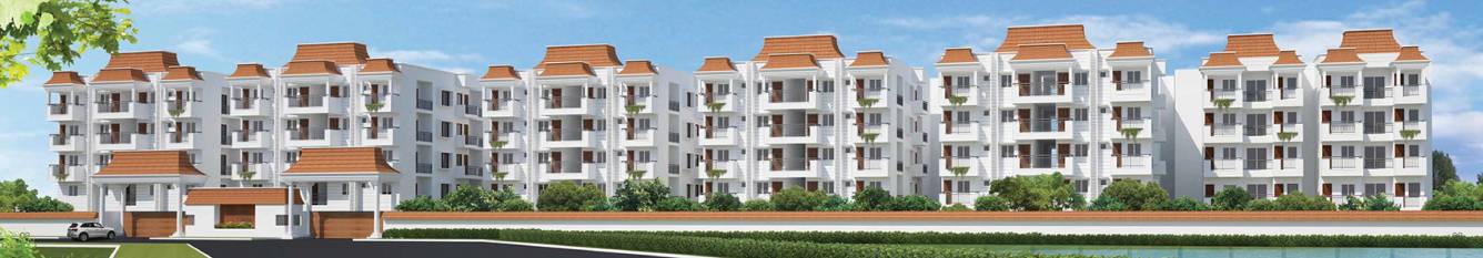 Images for Elevation of Signature Classic