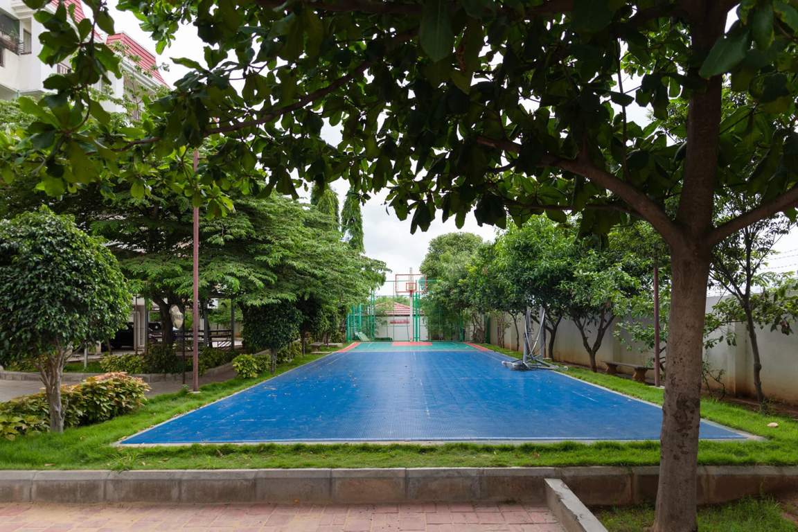  classic phase 1 Basketball Court