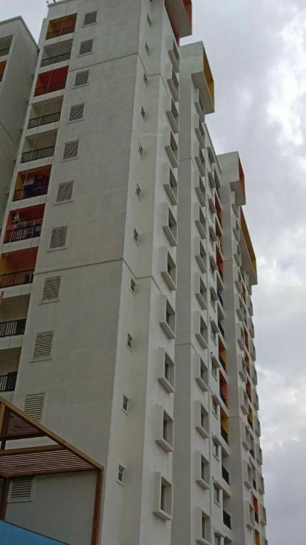  emerald square Elevation