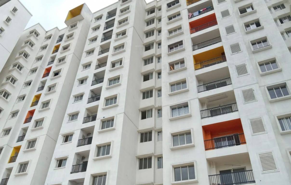  emerald square Elevation