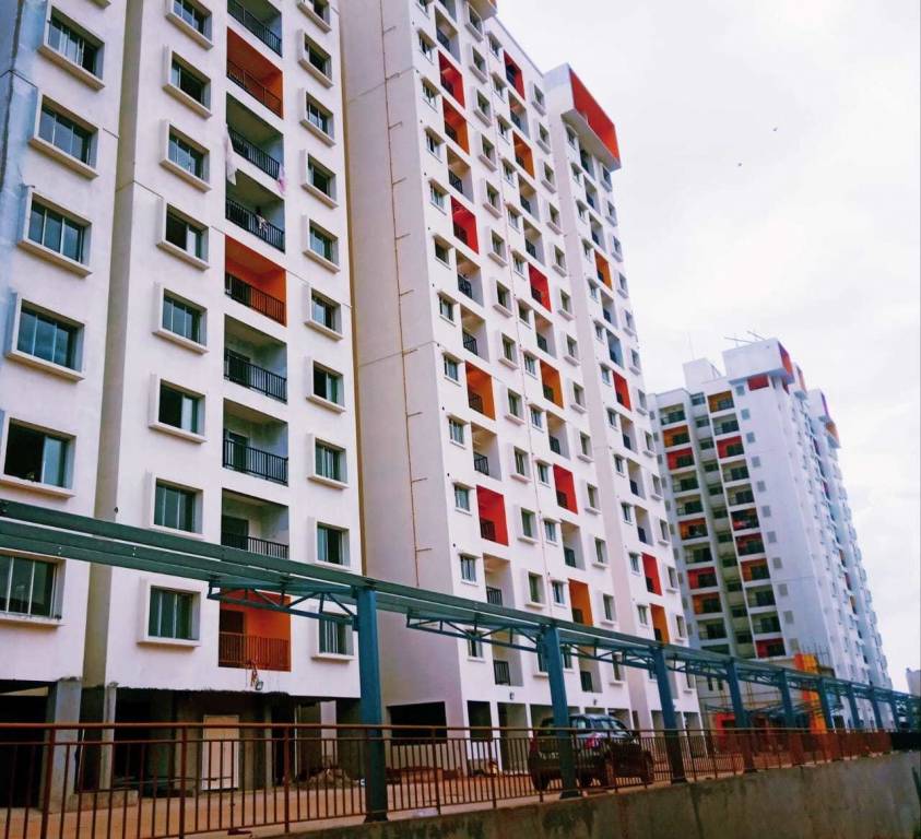  emerald square Elevation