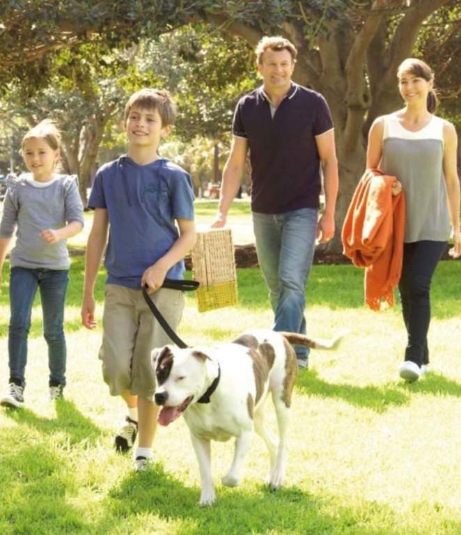  villas Landscape Garden and Tree Planting