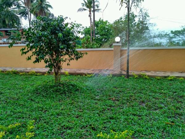  emerald Landscaped Gardens