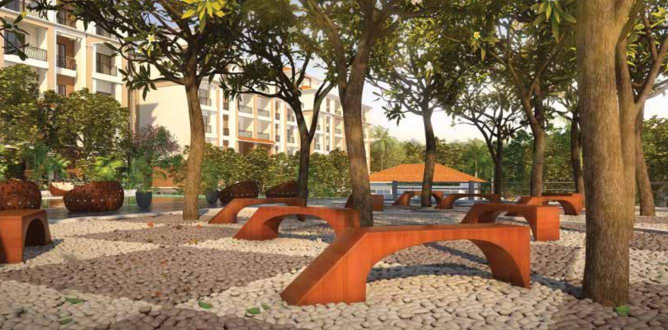 zion square 2 Landscape Garden and Tree Planting