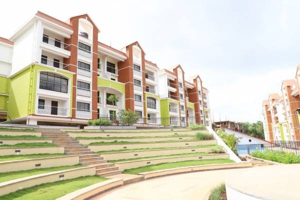  pinto-ville Amphitheater