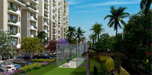 Cricket arena hills-sector-2 Cricket arena