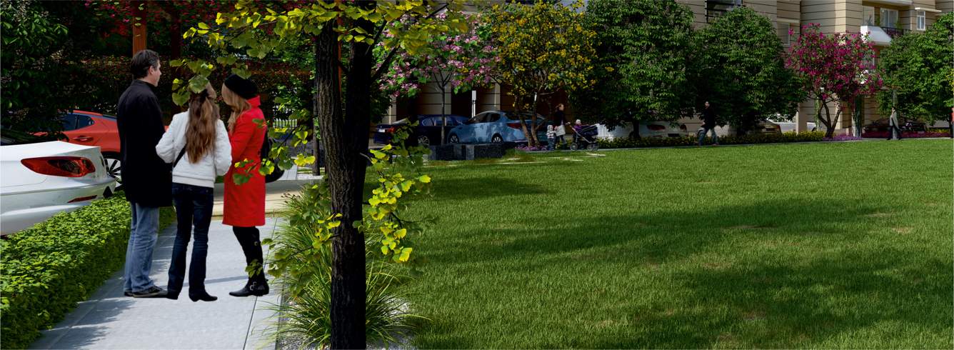 hills sector 2 Landscape Garden and Tree Planting