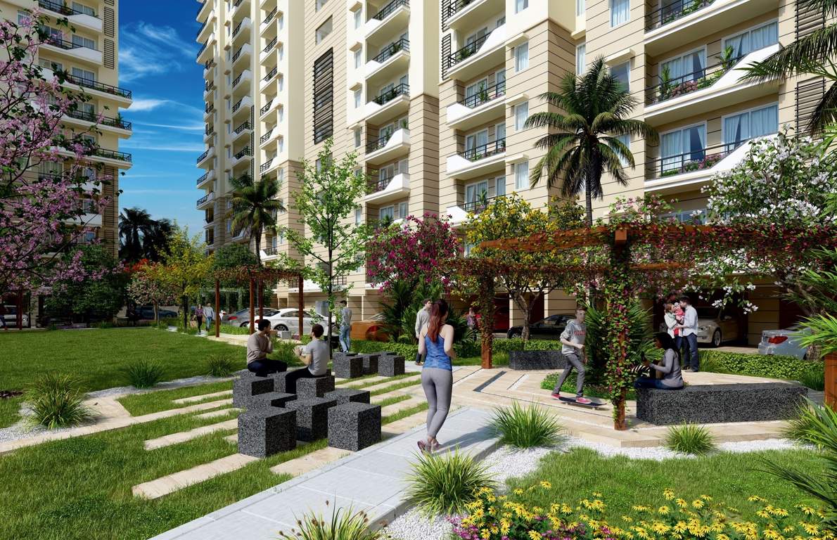 hills sector 2 Senior Citizen Sitout