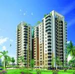 Elevation orchid-park Elevation