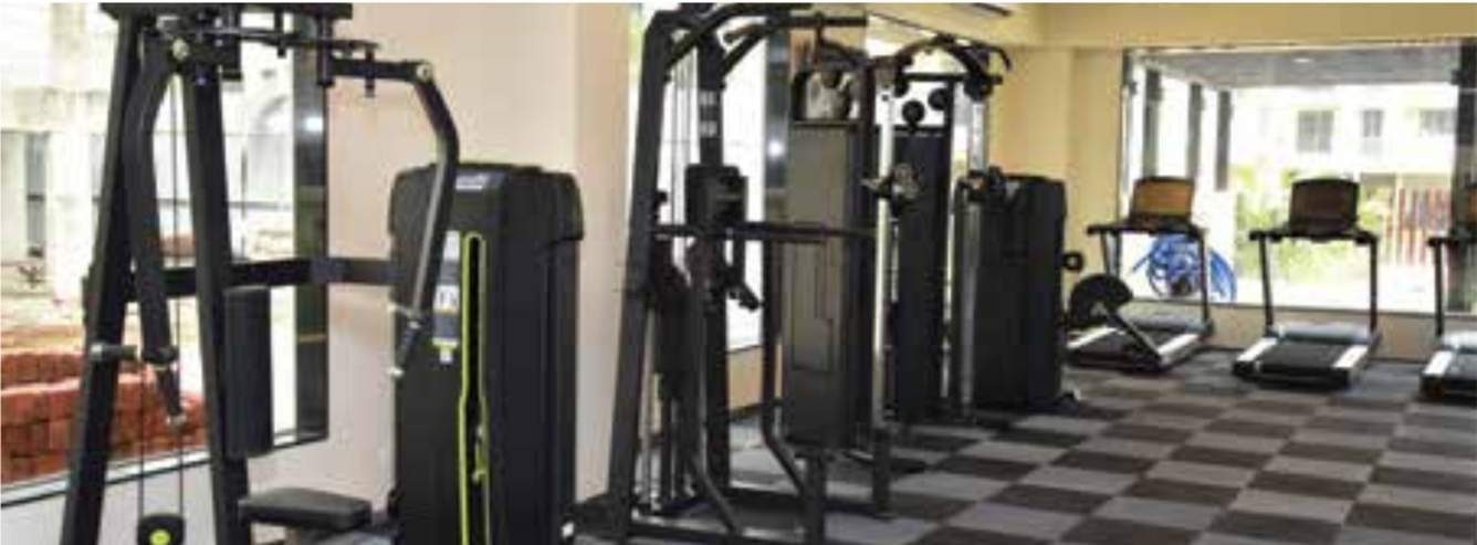  parksville phase iv Gymnasium