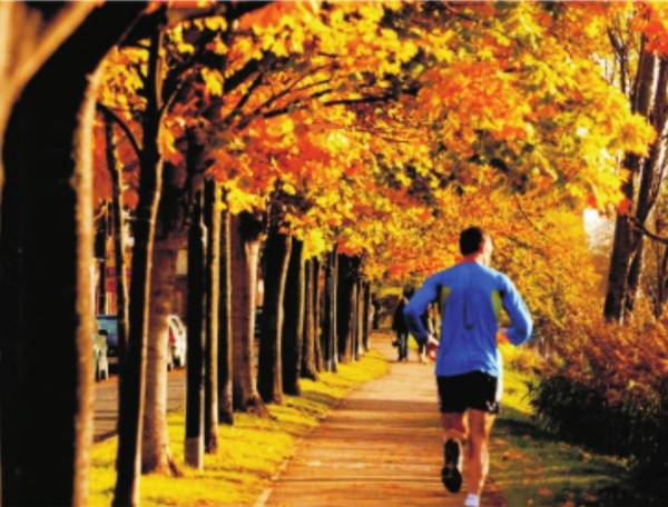  park-town Jogging Track