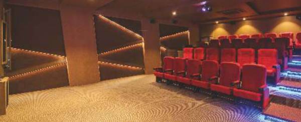  nest-building-a Others