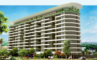 Project Image Project Image