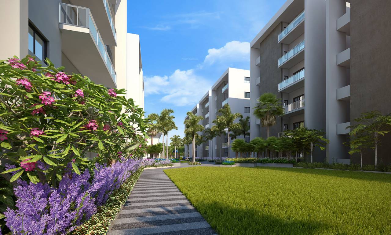 Images for Elevation of EIPL Rivera