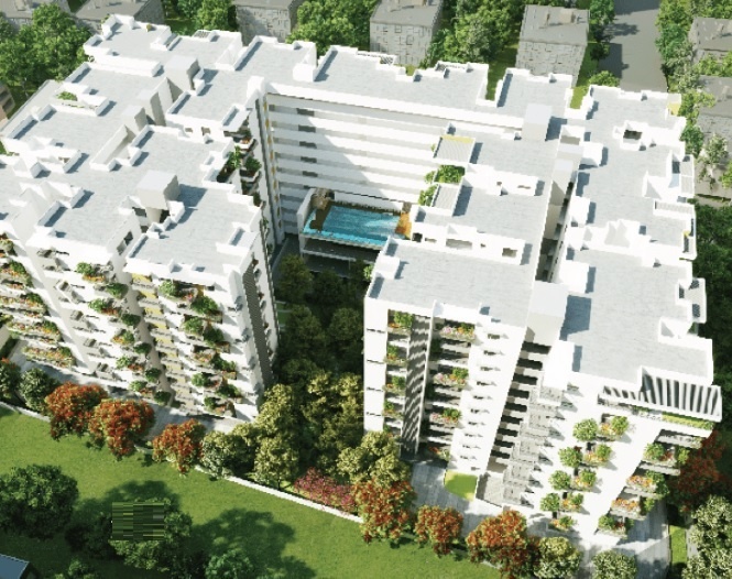 Elevation around the grove Elevation