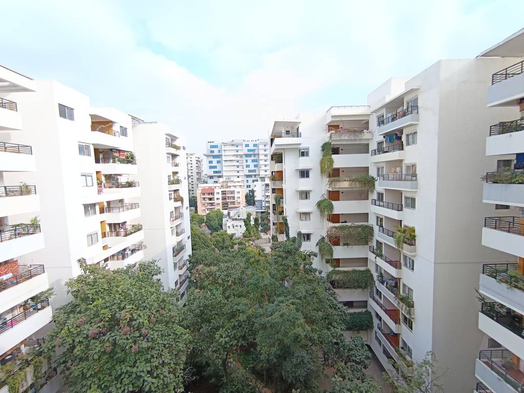 around the grove Elevation