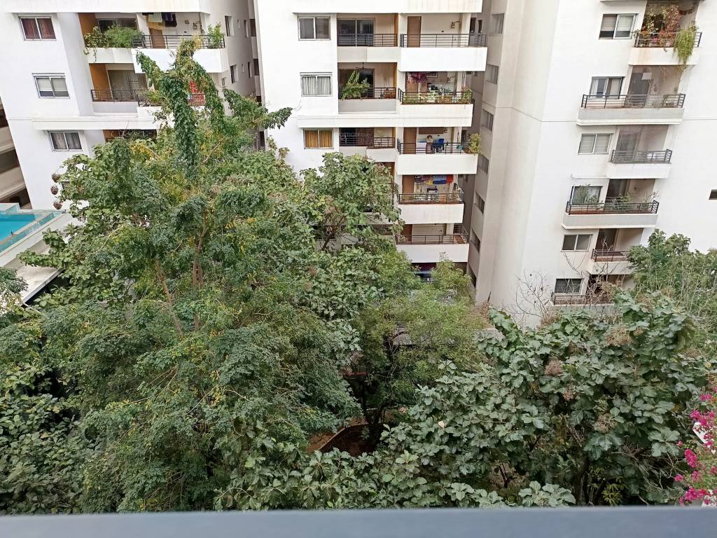 around the grove Elevation