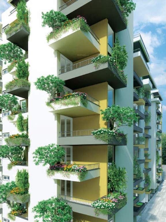 around the grove Images for Elevation of Manbhum Around the Grove