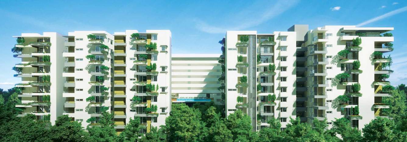 around the grove Images for Elevation of Manbhum Around the Grove