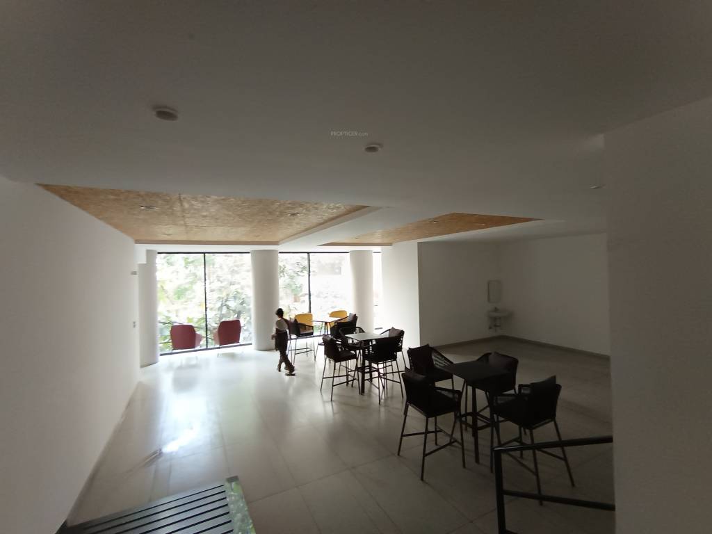 around the grove Indoor Games