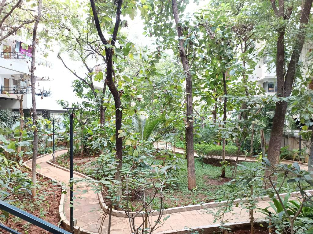 around the grove Landscaped Gardens