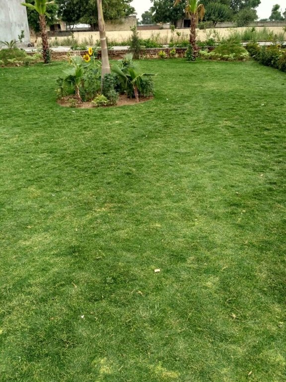 Images for Main Other of Globus Palm Greens Residential Plots