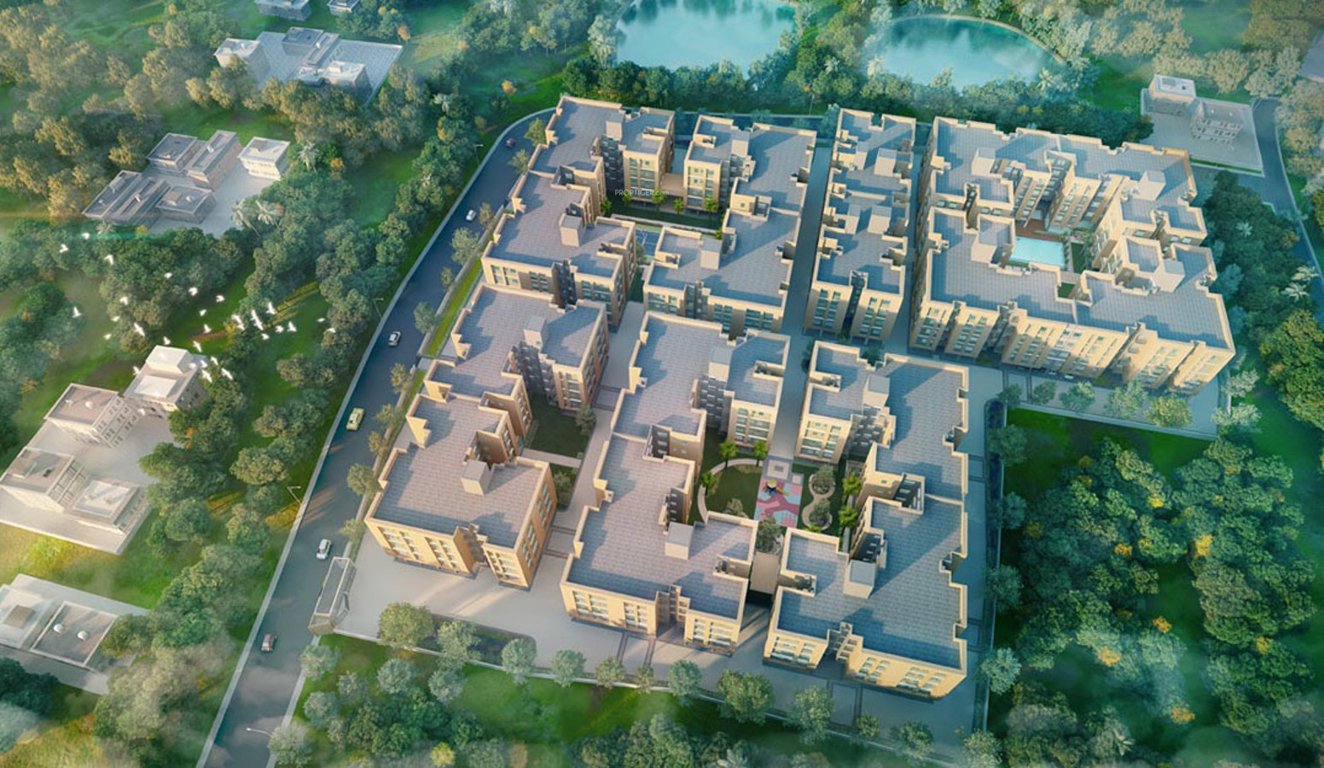  golden acres Elevation