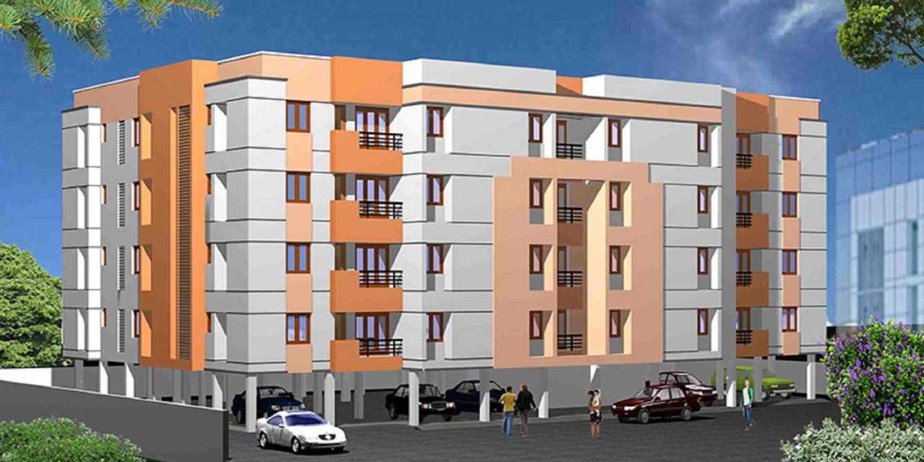 kgeyes daffodils Elevation