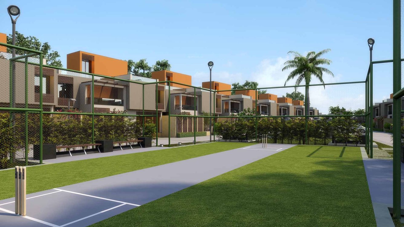 lake palace Cricket Pitch