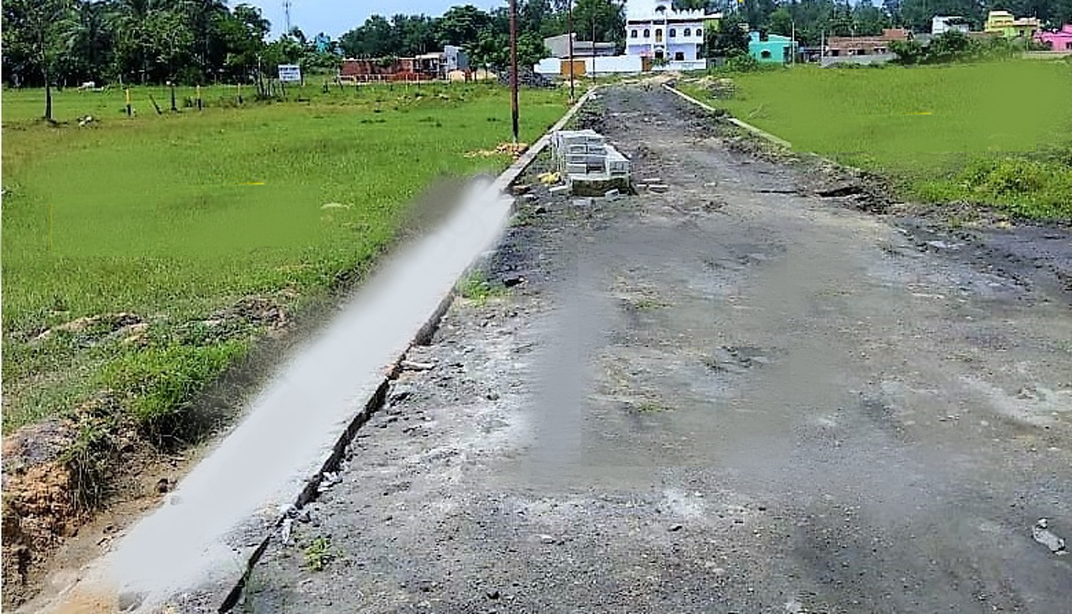 Images for Main Other of Freedom Green County