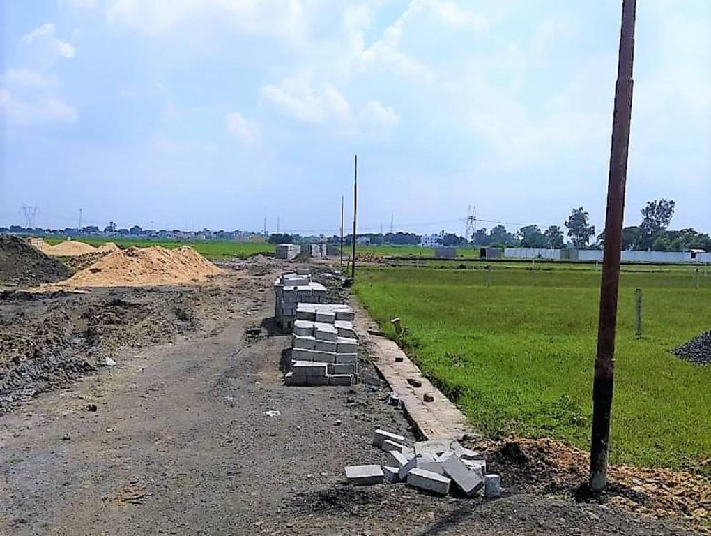 Images for Main Other of Freedom Green County