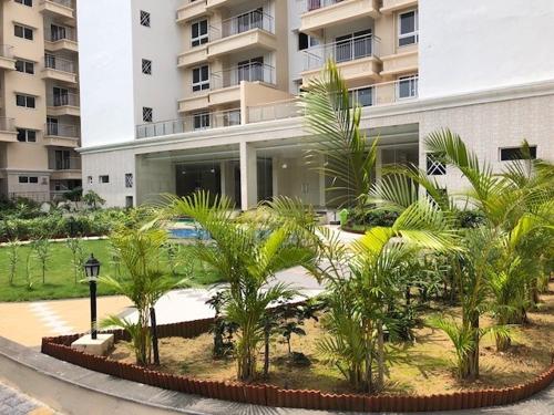  santushti Landscape Garden and Tree Planting