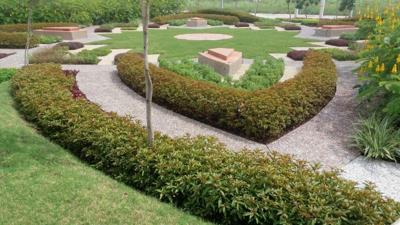  dream-city Landscape Garden and Tree Planting