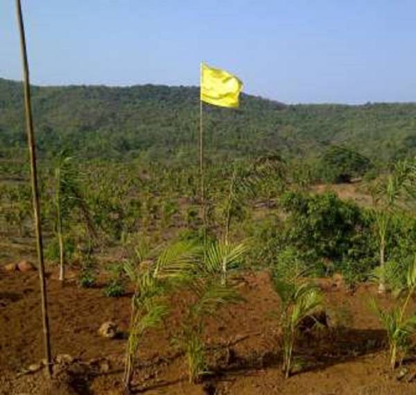 Plot bollywood-film-city Plot