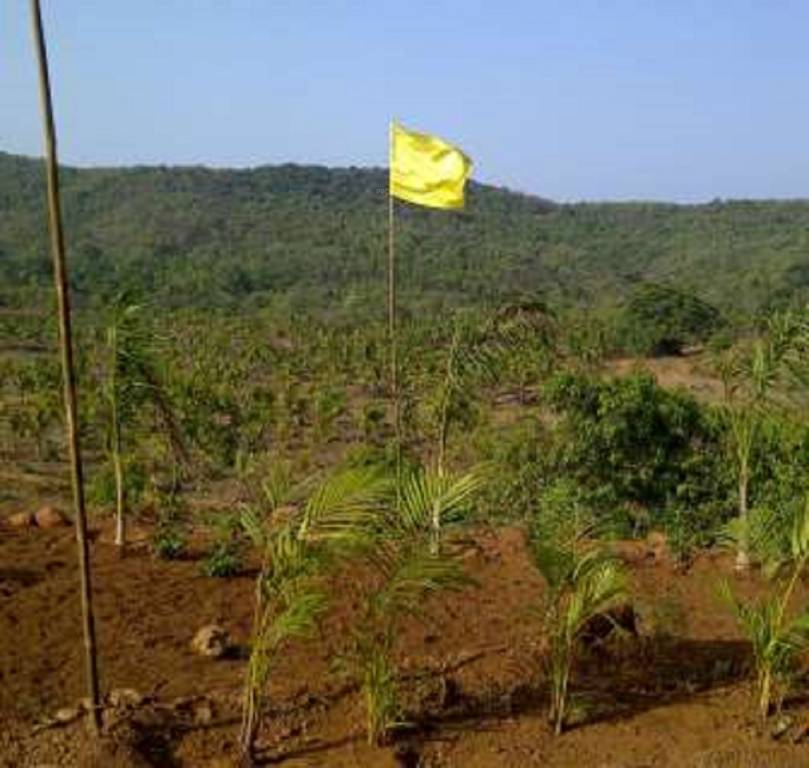  bollywood film city Plot