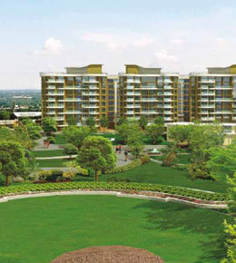 landmark treasure town Elevation